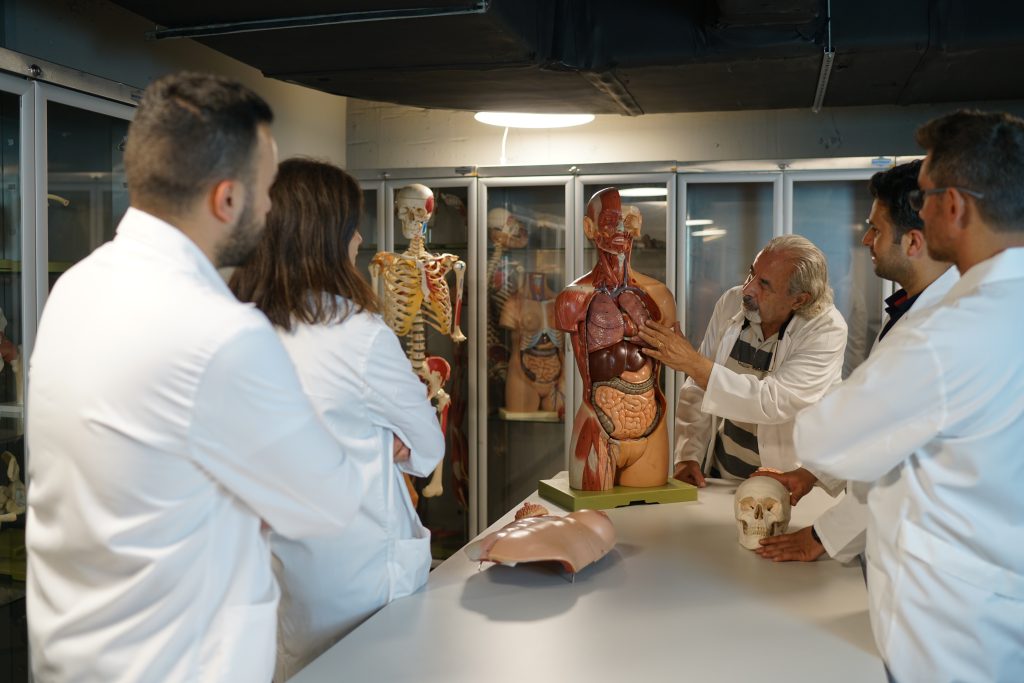anatomi lab